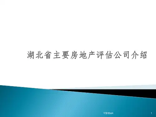 湖北省主要房地产评估公司介绍