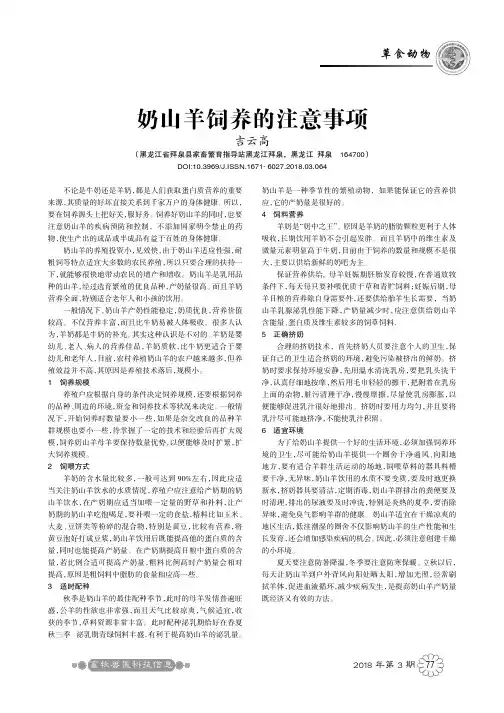 奶山羊饲养的注意事项