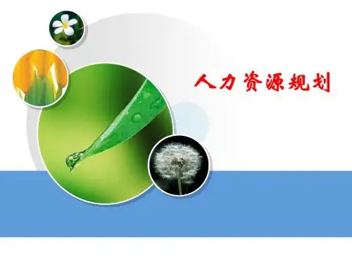 人力资源全景图