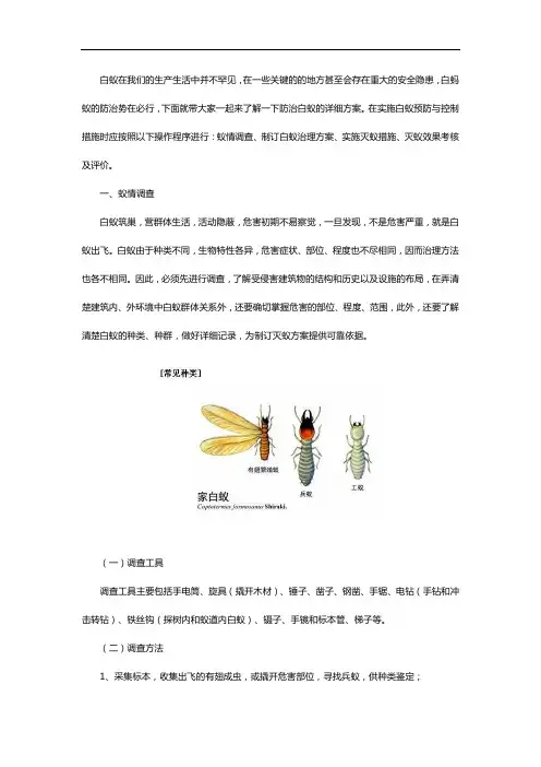白蚁防治中心：白蚁防治措施——详细的方案