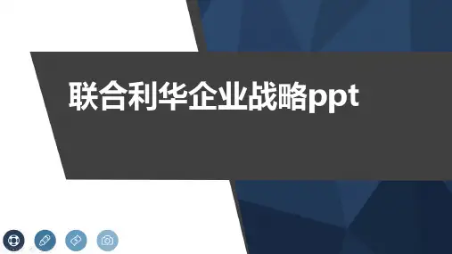 联合利华企业战略ppt