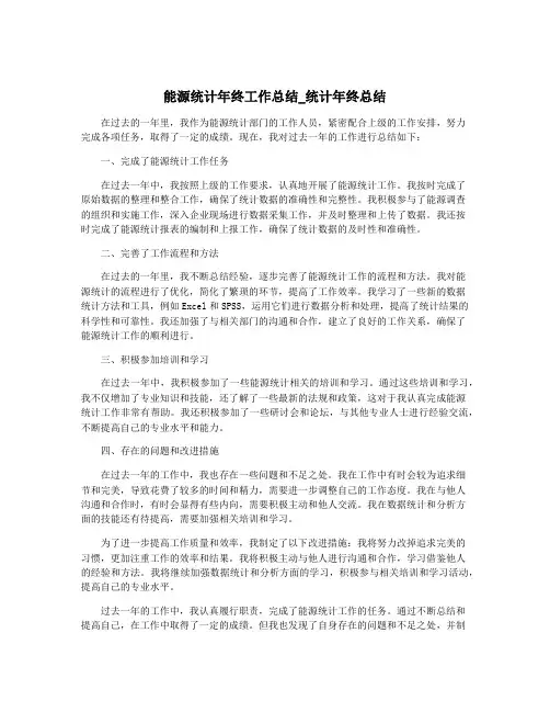 能源统计年终工作总结_统计年终总结