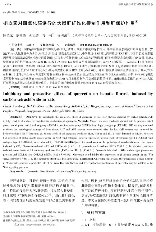 槲皮素对四氯化碳诱导的大鼠肝纤维化抑制作用和肝保护作用