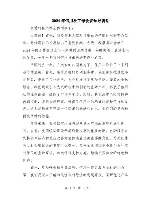 2024年信用社工作会议领导讲话