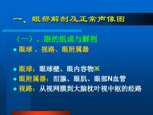 眼部常见病的超声诊断ppt课件