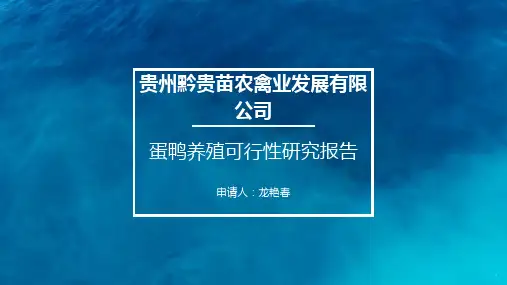 蛋鸭养殖可行性研究报告(1)(3)