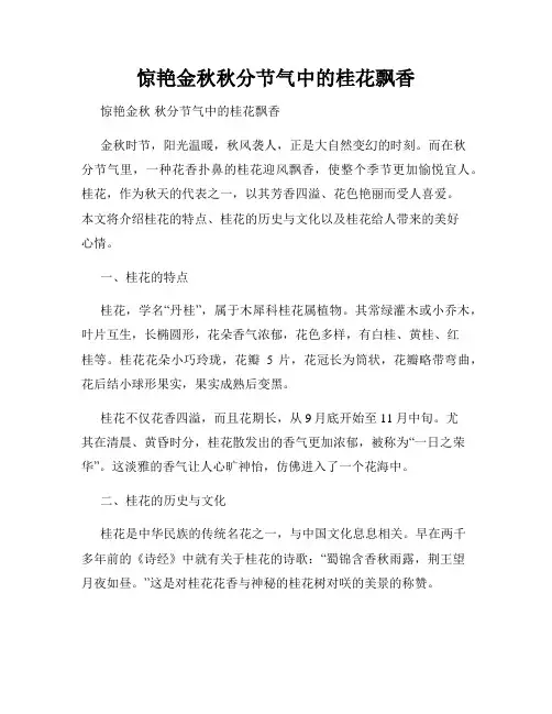 惊艳金秋秋分节气中的桂花飘香