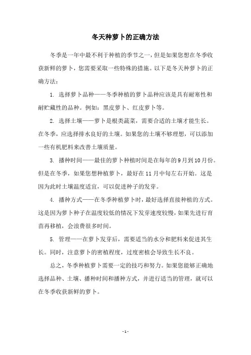冬天种萝卜的正确方法