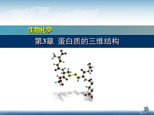 生物化学课件：4 蛋白质三维结构