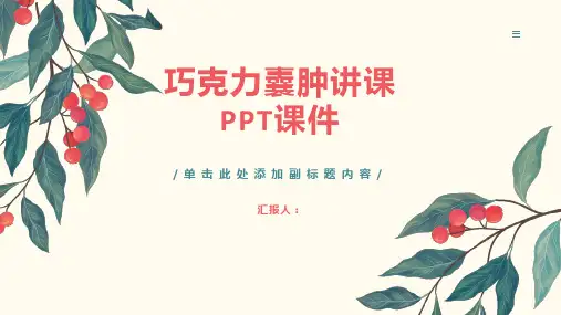 巧克力囊肿讲课PPT课件