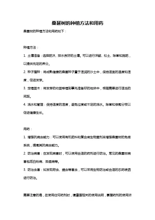 桑葚树的种植方法和用药
