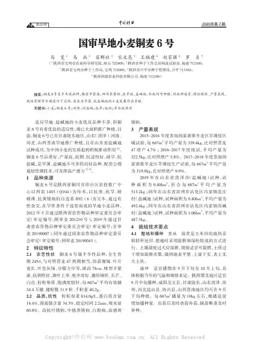 国审旱地小麦铜麦 6 号