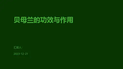 贝母兰的功效与作用