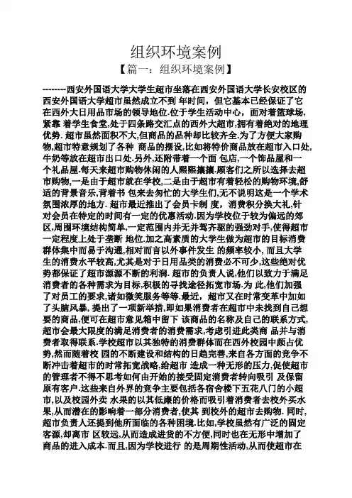 组织环境案例