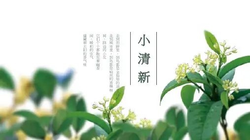 小清新汇报展示通用模板