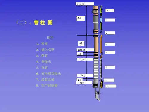 完井防砂作业介绍2(1)