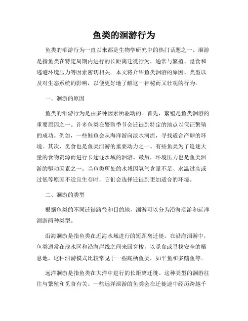 鱼类的洄游行为