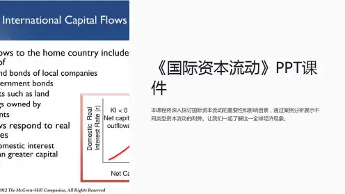 《国际资本流动》课件