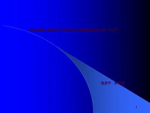 经皮球囊扩张椎体成形术治疗胸腰椎压缩性骨折ppt课件