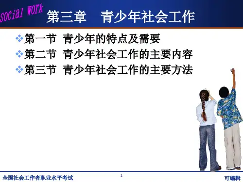 青少年社会工作PPT课件