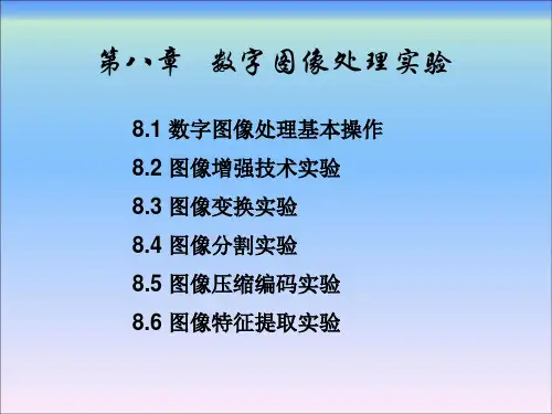 数字图像处理及应用(MATLAB)第8章