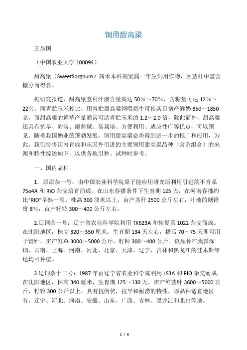 甜高粱