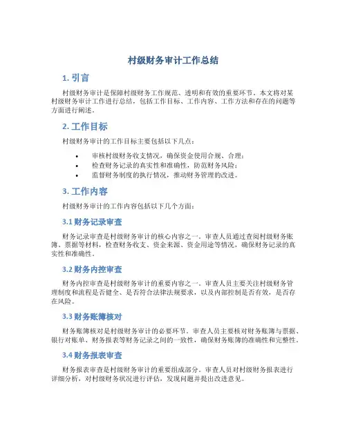 村级财务审计工作总结