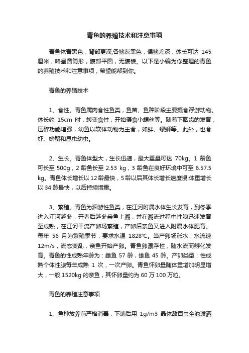 青鱼的养殖技术和注意事项