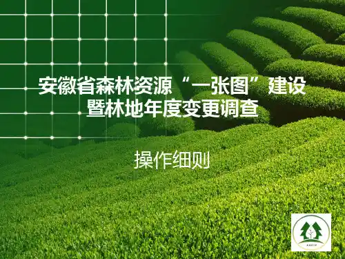 林地年度变更操作细则