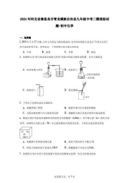 2024年河北省秦皇岛市青龙满族自治县九年级中考二模理综试题-初中化学