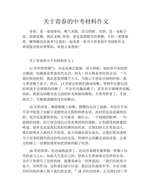 关于青春的中考材料作文