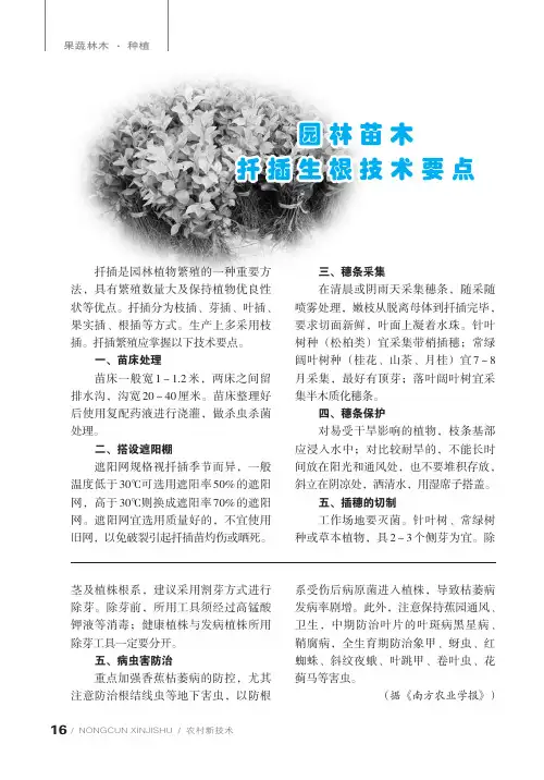 园林苗木扦插生根技术要点