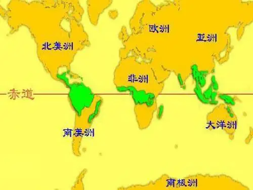 18 雨林毁灭—世界性的灾难课件