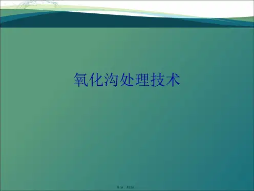 氧化沟处理技术