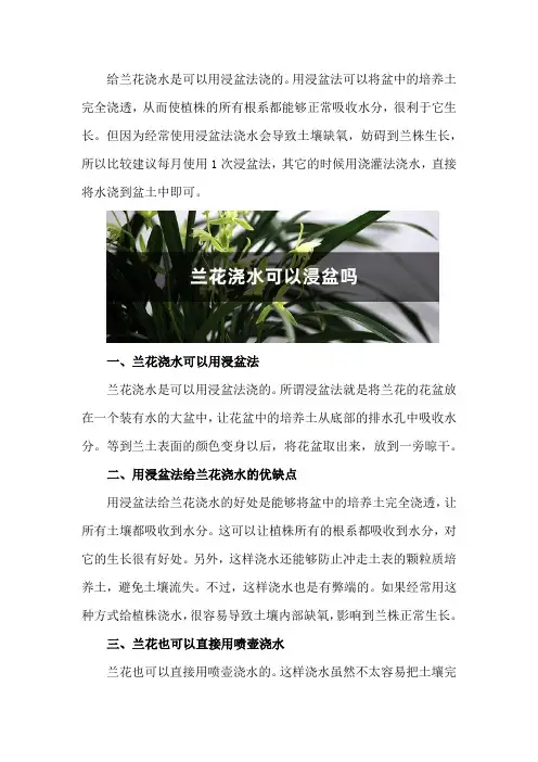 兰花可以浸盆吗,可以直接用喷壶浇水吗