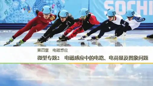 2018-2019版物理选修3-2人教浙江专版全程导学笔记课件：第四章 电磁感应 微型专题2 精品