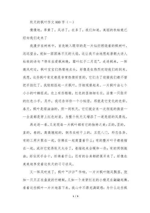 秋天的枫叶作文800字三篇