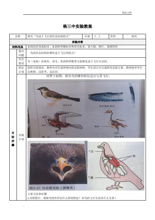 “探究”鸟适于飞行的形态结构特点的实验报告单