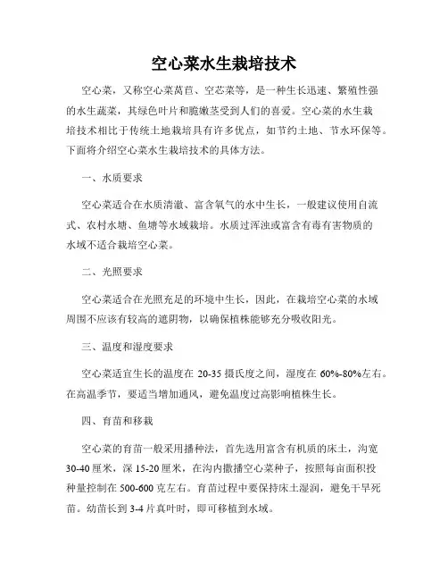 空心菜水生栽培技术
