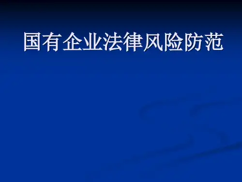 国有企业法律风险防范(ppt文档)
