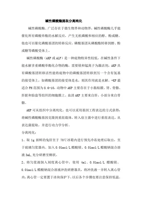 碱性磷酸酶提取分离纯化