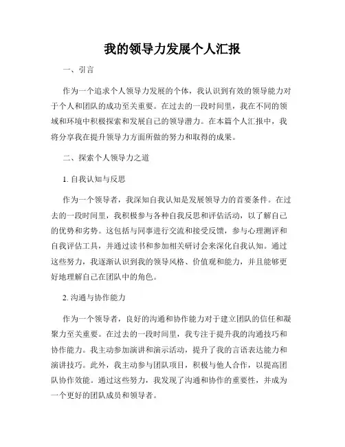 我的领导力发展个人汇报