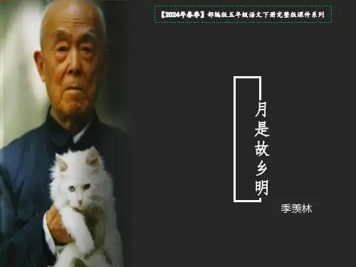 3《月是故乡明》课件(共29张PPT)