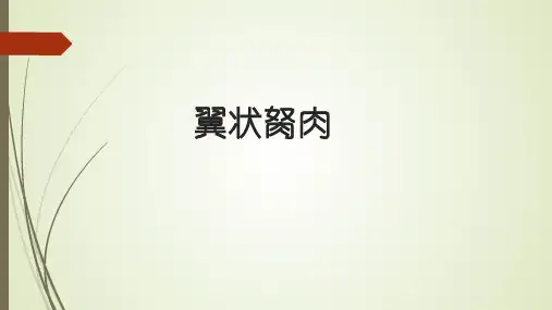 翼状胬肉.ppt