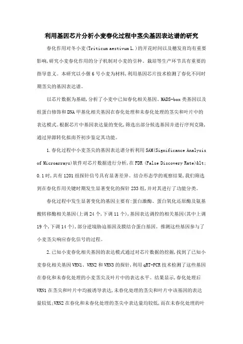 利用基因芯片分析小麦春化过程中茎尖基因表达谱的研究