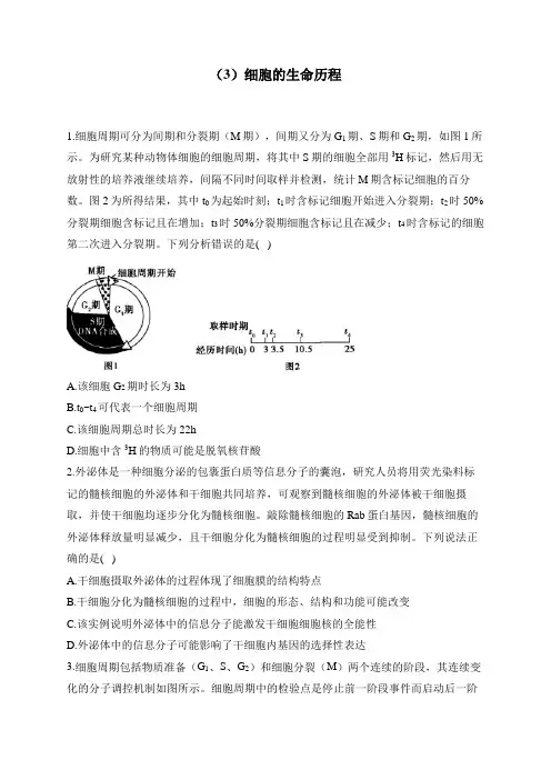 2024届高考生物一轮复习专项练习(3)细胞的生命历程