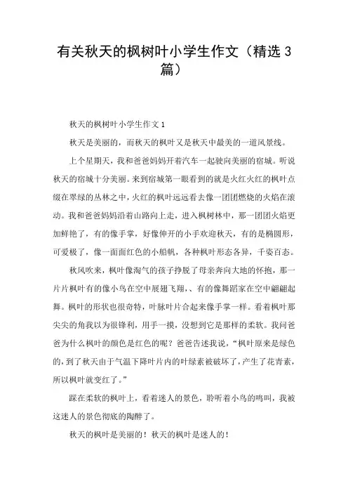 有关秋天的枫树叶小学生作文(精选3篇)