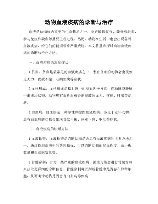 动物血液疾病的诊断与治疗