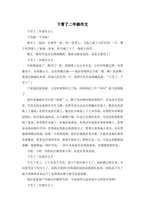 下雪了二年级作文