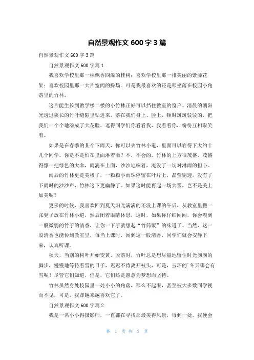 自然景观作文600字3篇